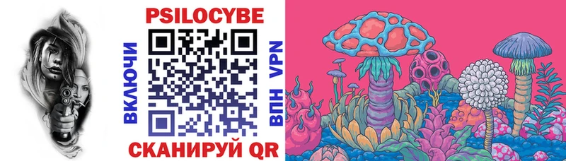 Галлюциногенные грибы Psilocybine cubensis  продажа наркотиков  Таруса 